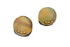 Nature Stud Earrings